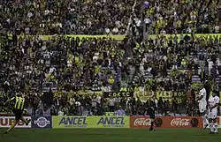 Player kicking a ball, with crowded stands in background