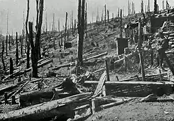 The slopes of the Hartmannswillerkopf in 1915.