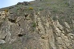 Exposed geological formation in the park