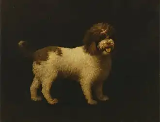 Water Spaniel (1769), oil on canvas, 90.2 x 116.8&nbsp;cm., Yale Center for British Art
