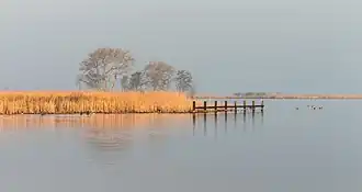 &nbsp;A view of Goëngarijpsterpoelen, one of the Frisian Lakes