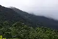 View from the Gold Trail