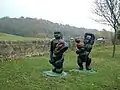 Gorillas next to the Rochdale Canal