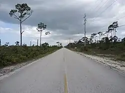 Grand Bahama Highway