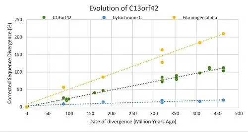 Figure 1: Corrected Divergence vs. Date of Divergence (MYA) of C13orf42 compared to Cytochrome C and Fibronigin alpha.