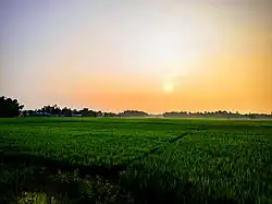 Dinhata's Village Side