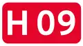 H09