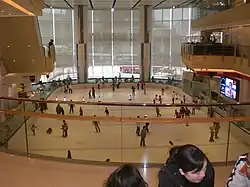 The Rink