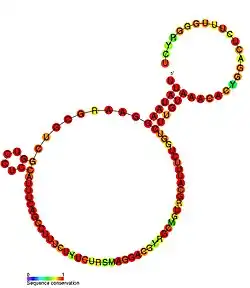 HOTAIR_3: Secondary structure taken from the Rfam database. Family RF01906