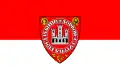Flag of Sopron District