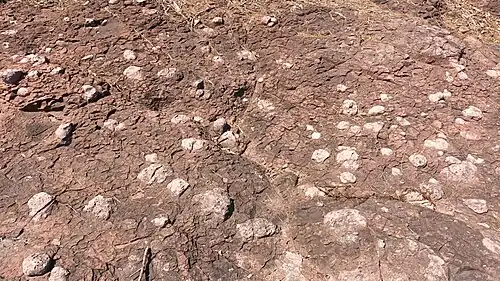 34°57′32.9″N 127°53′53.8″E / 34.959139; 127.898278