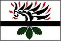 Flag of Habřina
