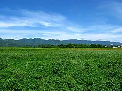Huadong Valley, the Coastal Mountain Range can be seen in the distance