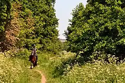 View of Richmond Hill