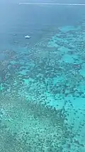 Hastings Reef