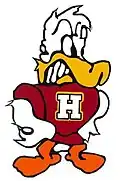 Havana High School Mascot