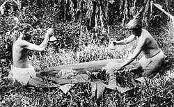 Men pounding poi in 1890