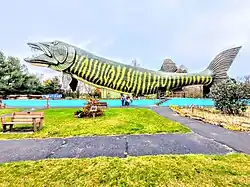 World's largest Muskie at the National Fresh Water Fishing Hall of Fame