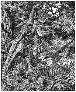 Gerhard Heilmann's arboreal vision of Proavis (1916).