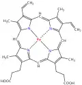 Heme group of hemoglobin with a porphin macrocycle.