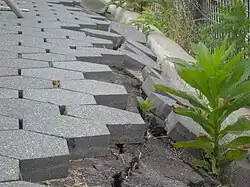Hexagonal&nbsp;trylinka pavement crumbling in New York