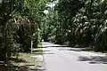 Road through the park