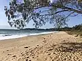 Hills Beach looking south