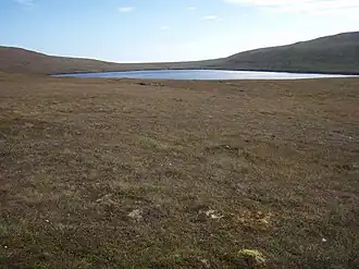 Hoglinns Water