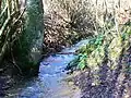 Holy Brook Siccaridge Wood