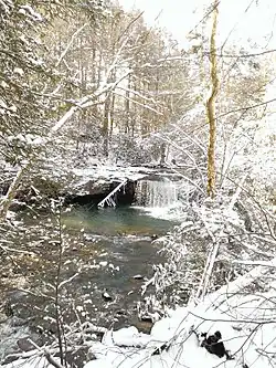 Hominy Falls after a spring snow