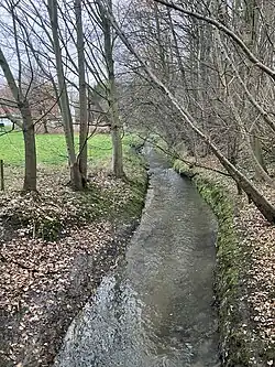 A small river flowing through a forest, surrounded by grass, trees and fallen leaves.