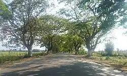 ဟိုပင် မြို့အဝင် လမ်းမကြီး