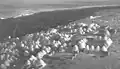 Village of beehive houses near Aleppo, Syria, in 1927
