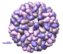 Crystal structure of Brome mosaic virus