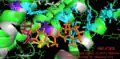 2L6x In-Active-Site Cartoon Color Coded and Labeled Visualization, D and E Helices hidden for vantage, Retinal ligand binding site