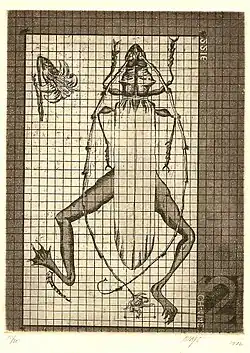 Insekto, 1976
