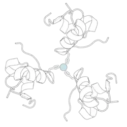Black-and-white ribbon diagram of a pig insulin hexamer, showing its characteristic quaternary structure. At the center is a pale blue-gray sphere representing a zinc atom.