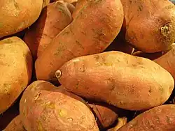 Several elongated reddish brown tubers