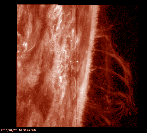 IRIS captured several large solar prominences on the edge of the Sun