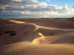 Sand dunes of Samalayuca
