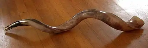Image 1A kudu horn (from Wood Badge)