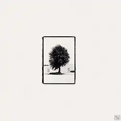 Photo.