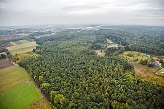 Forested Segiet Nature Reserve&nbsp;[pl] on the border of Tarnowskie Góry and Bytom