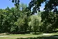 Kakhovka Arboretum