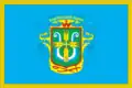 Flag of Kamianka Raion