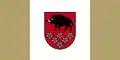 Flag of Kandava Municipality