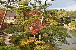 View of the garden