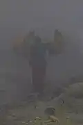 Kawah Ijen sulfur miner