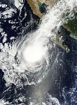 Satellite image of Tropical Storm Kevin on August&nbsp;4