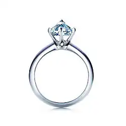 Killer Ring, 2004